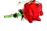 02-Adorno-de-Navidad-B.Rosa-Encantada.jpg