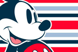 01-Bolso-de-Playa-Mickey-Mouse.jpg