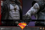 14-DC-Comics-Movie-Masterpiece-Figura-16-Lobo-33-cm.jpg