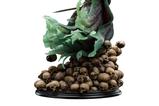 10-El-Seor-de-los-Anillos-Estatua-King-of-the-Dead-Limited-Edition-43-cm.jpg