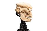 02-El-Seor-de-los-Anillos-Estatua-Skull-of-a-Cave-Troll-21-cm.jpg