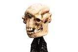 04-El-Seor-de-los-Anillos-Estatua-Skull-of-a-Cave-Troll-21-cm.jpg