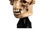 05-El-Seor-de-los-Anillos-Estatua-Skull-of-a-Cave-Troll-21-cm.jpg