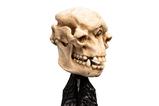 07-El-Seor-de-los-Anillos-Estatua-Skull-of-a-Cave-Troll-21-cm.jpg