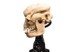 11-El-Seor-de-los-Anillos-Estatua-Skull-of-a-Cave-Troll-21-cm.jpg