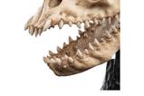 06-El-Seor-de-los-Anillos-Estatua-Skull-of-a-Fell-Beast-21-cm.jpg