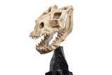 11-El-Seor-de-los-Anillos-Estatua-Skull-of-a-Fell-Beast-21-cm.jpg