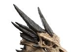 08-El-Seor-de-los-Anillos-Estatua-Skull-of-Smaug-22-cm.jpg