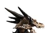 09-El-Seor-de-los-Anillos-Estatua-Skull-of-Smaug-22-cm.jpg