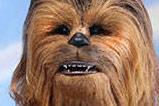 05-Figura-Chewbacca-Masterpiece-StarWars-EpisodeVII.jpg