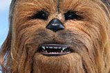 06-Figura-Chewbacca-Masterpiece-StarWars-EpisodeVII.jpg