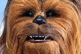 07-Figura-Chewbacca-Masterpiece-StarWars-EpisodeVII.jpg