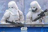 13-Figura-Imperial-Remnant-Snowtrooper-Movie-Masterpiece.jpg