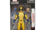 08-figura-wolverine-marvel-legends-series.jpg