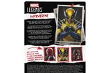 09-figura-wolverine-marvel-legends-series.jpg