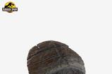 05-Jurassic-Park-11-Rplica-Triceratops-Toenail-16-cm.jpg