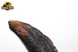 04-Jurassic-Park-11-Rplica-Velociraptor-Toenail-Type-A-11-cm.jpg