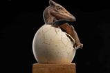 01-Jurassic-Park-ECC-Elite-Creature-Line-Estatua-12-Pterosaur-Hatching-16-cm.jpg