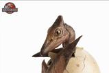 05-Jurassic-Park-ECC-Elite-Creature-Line-Estatua-12-Pterosaur-Hatching-16-cm.jpg