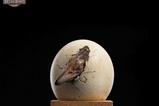 18-Jurassic-Park-ECC-Elite-Creature-Line-Estatua-12-Pterosaur-Hatching-16-cm.jpg