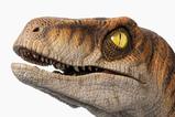 06-Jurassic-Park-Estatua-tamao-real-Male-Velociraptor-75-cm.jpg