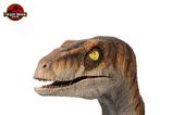 08-Jurassic-Park-Estatua-tamao-real-Male-Velociraptor-75-cm.jpg