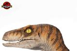 11-Jurassic-Park-Estatua-tamao-real-Male-Velociraptor-75-cm.jpg