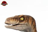 13-Jurassic-Park-Estatua-tamao-real-Male-Velociraptor-75-cm.jpg