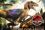 03-Jurassic-Park-II-Estatua-Legacy-Museum-Collection-16-Velociraptor-Bonus-Versi.jpg