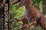 05-Jurassic-Park-II-Estatua-Legacy-Museum-Collection-16-Velociraptor-Bonus-Versi.jpg