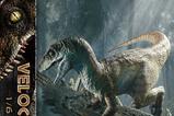 21-Jurassic-Park-II-Estatua-Legacy-Museum-Collection-16-Velociraptor-Bonus-Versi.jpg