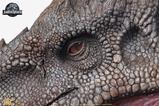 09-Jurassic-World-Estatua-112-Indominus-Rex-139-cm.jpg