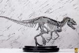 20-Jurassic-World-Estatua-124-Indominus-Rex-Skeleton-Bronze-24-cm.jpg