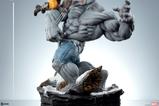 04-marvel-estatua-grey-hulk-vs-wolverine-58-cm.jpg