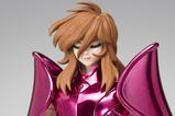 10-Saint-Seiya-Figura-Saint-Cloth-Myth-EX-Andromeda-Shun-Final-Bronze-Cloth-Or.jpg