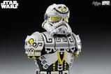 09-star-wars-busto-de-diseo-sideshow-artist-series-stormtrooper-by-jesse-hernand.jpg