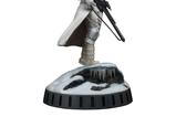 01-Star-Wars-Episode-VI-Estatua-Milestones-16-Snowtrooper-33-cm.jpg