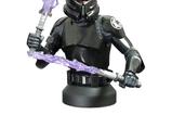 01-Star-Wars-Jedi-Fallen-Order-Busto-16-Purge-Trooper-15-cm.jpg