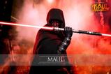 03-Star-Wars-Maul--Seor-de-las-sombras-Television-Masterpiece-Figura-16-Maul-.jpg
