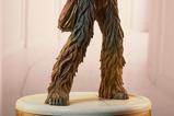 07-Star-Wars-Premium-Format-Estatua-Chewbacca-and-C3PO-63-cm.jpg