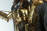 13-Star-Wars-Premium-Format-Estatua-Chewbacca-and-C3PO-63-cm.jpg