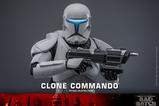 08-Star-Wars-The-Bad-Batch-Figura-16-Clone-Commando-30-cm.jpg