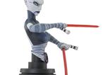 03-Star-Wars-The-Clone-Wars-Busto-17-Asajj-Ventress-14-cm.jpg