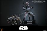 10-Star-Wars-The-Clone-Wars-Figura-16-Sergeant-Hound-30-cm.jpg