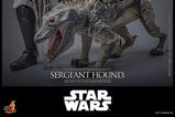 17-Star-Wars-The-Clone-Wars-Figura-16-Sergeant-Hound-30-cm.jpg