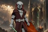 01-Star-Wars-The-Clone-Wars-Television-Masterpiece-Figura-16-Saesee-Tiin-Clone.jpg