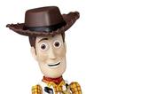 04-Toy-Story-Figura-Woody-23-cm.jpg