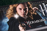 01-Varita-Hermione-Granger-con-Iluminacion.jpg