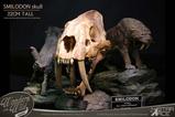 02-Wonders-of-the-Wild-Series-Estatua-Smilodon-Skull-Fossil-22-cm.jpg