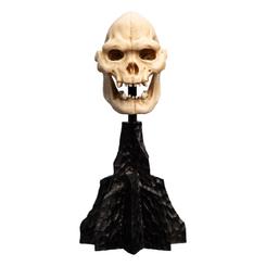 Transforma tu colección con la estatua Skull of Lurtz de El Señor de los Anillos. Esta detallada pieza de polystone captura la esencia de uno de los villanos más icónicos de la saga.